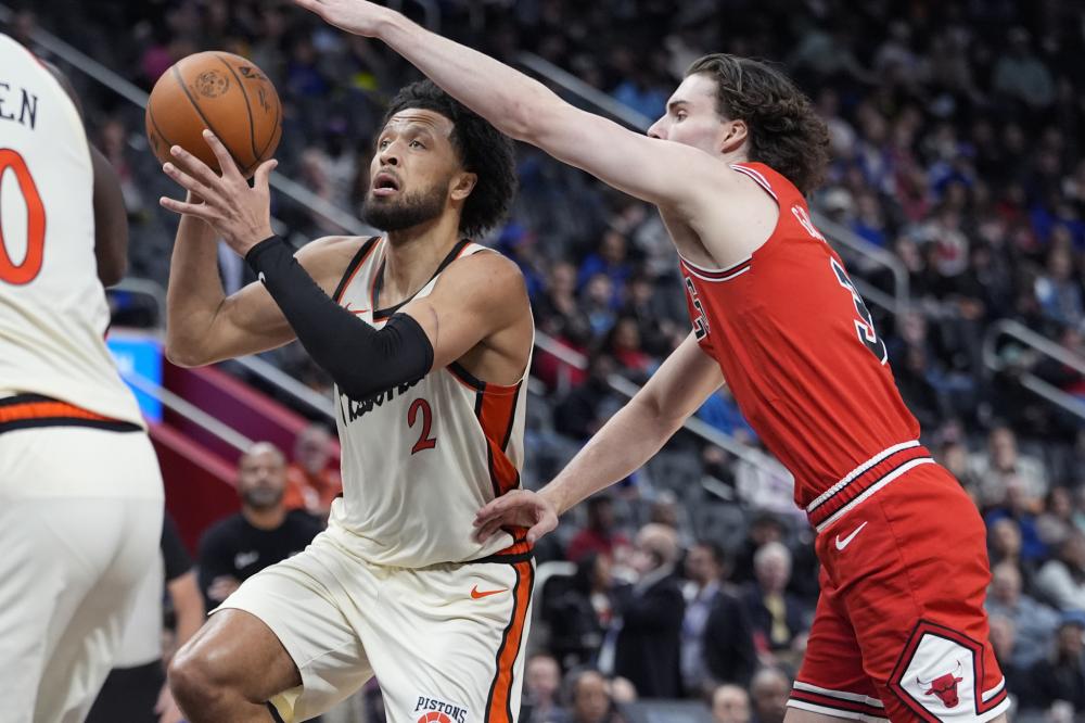 豚的进攻线 豚的进攻线